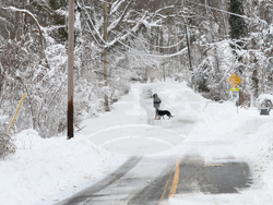 Winter Weather New York