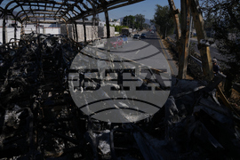 Mexico Cartel Leader Death