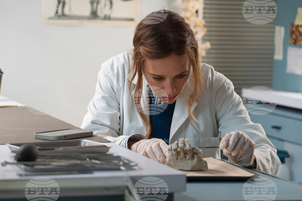 Film Review - In the Blink of an Eye