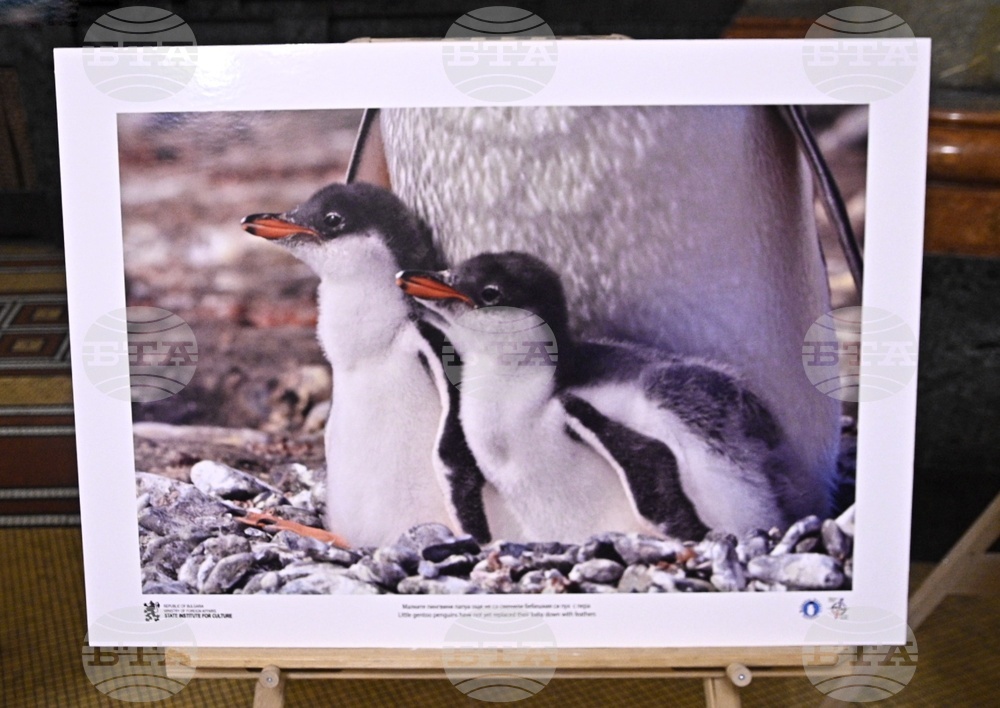 „Антарктида и българите“ - фото изложба
