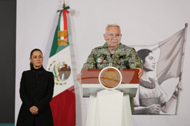 Mexico Cartel Leader Death