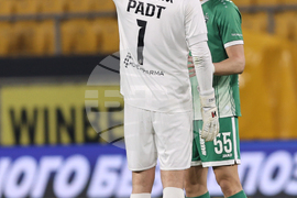 Пловдив - футбол - Ботев (Пловдив) - Лудогорец