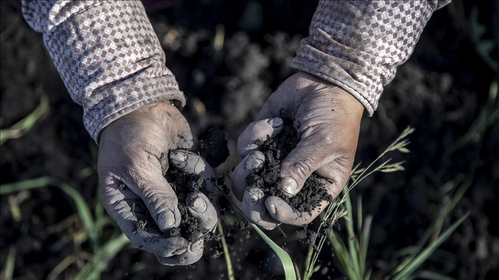 АА: Според ново проучване 70–100% от гените на европейците идват преди хилядолетия от западноанадолски земеделци 