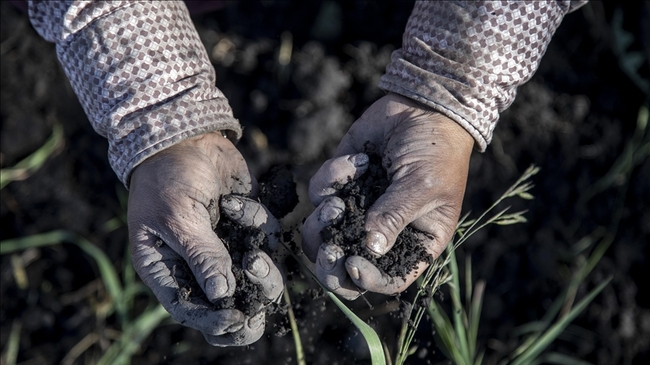 АА: Според ново проучване 70–100% от гените на европейците идват преди хилядолетия от западноанадолски земеделци 
