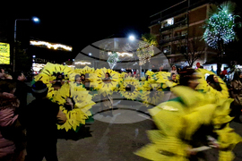 Република Северна Македония - Струмица - карнавал