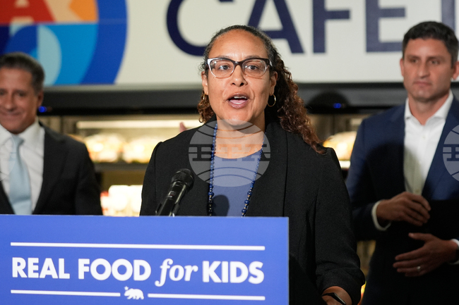 Funding Immigration Services