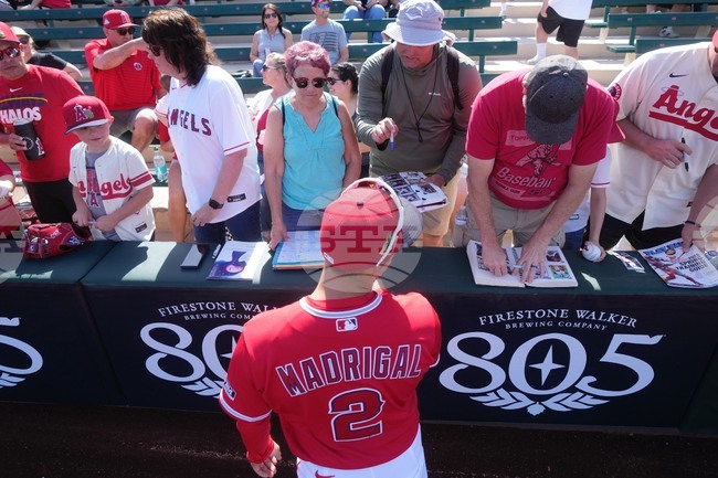 Rangers Angels Spring Baseball