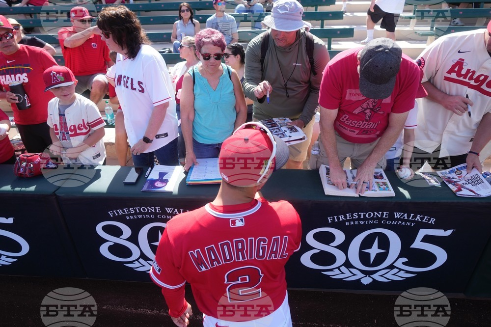 Rangers Angels Spring Baseball