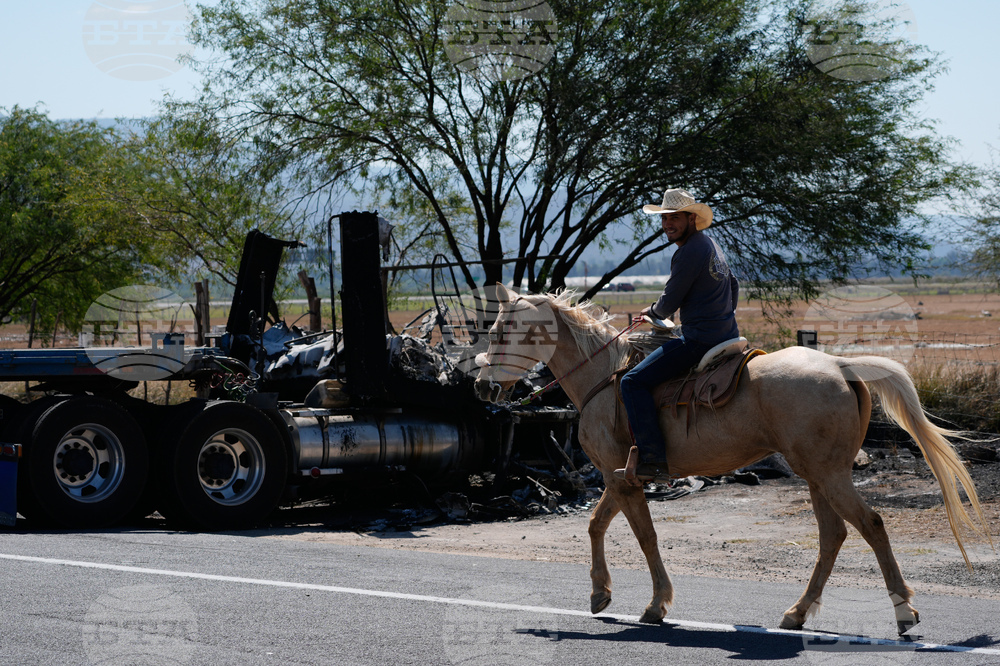 Mexico Cartel Leader Death