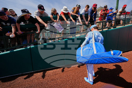 Cubs Royals Spring Baseball