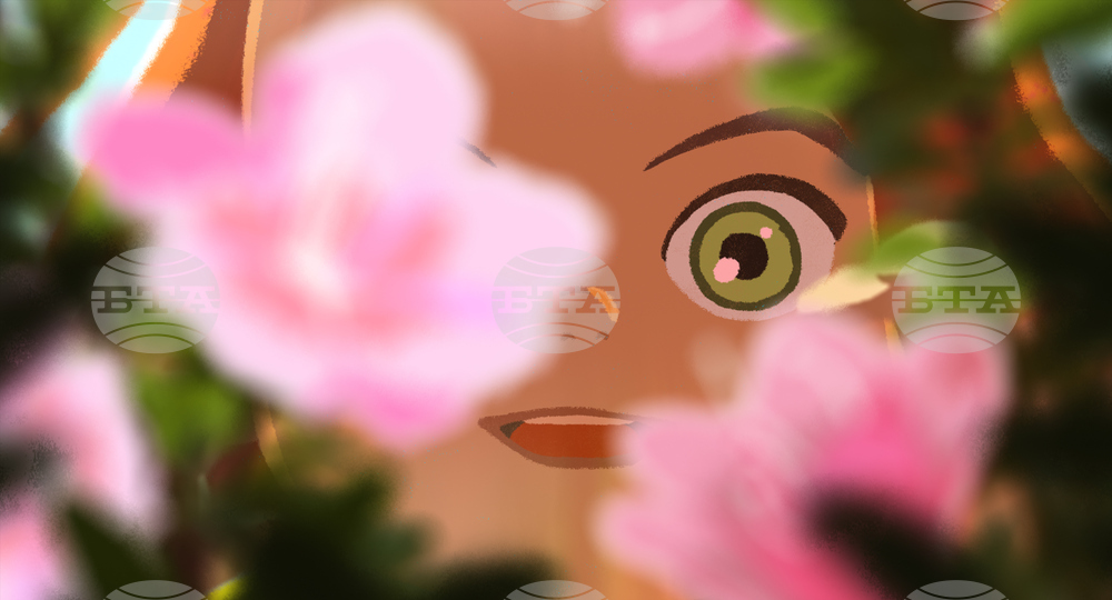 Little Amélie or the Character of Rain