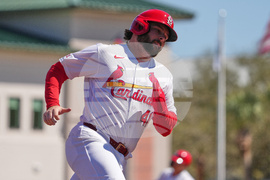Marlins Cardinals Spring Baseball