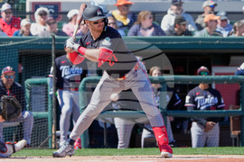 Twins Tigers Spring Baseball