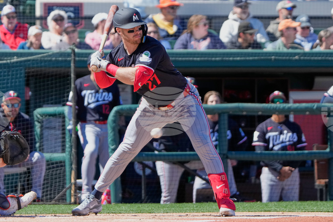 Twins Tigers Spring Baseball