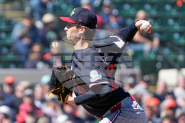 Twins Tigers Spring Baseball