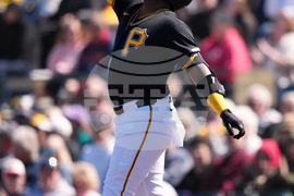 Yankees Pirates Spring Baseball