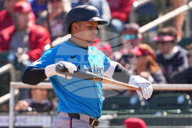 Marlins Cardinals Spring Baseball