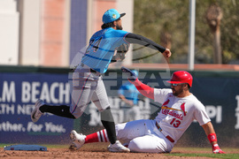 Marlins Cardinals Spring Baseball