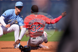 Rays Spring Baseball