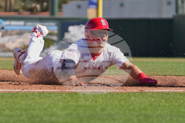 Marlins Cardinals Spring Baseball