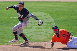Twins Tigers Spring Baseball