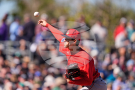 Rays Spring Baseball