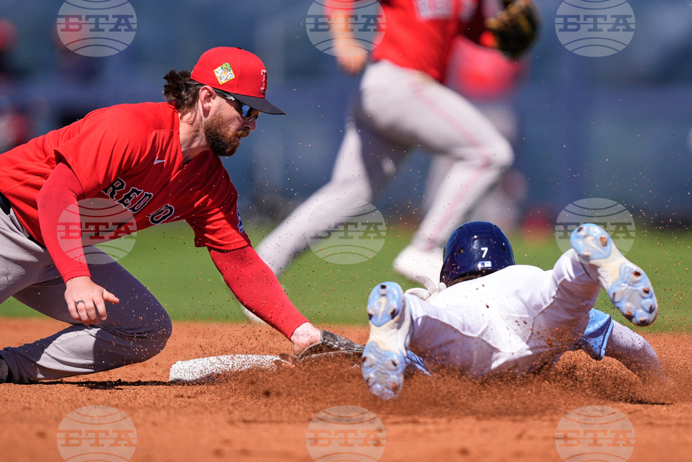 Red Sox Rays Spring Baseball