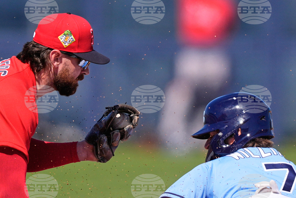 Red Sox Rays Spring Baseball