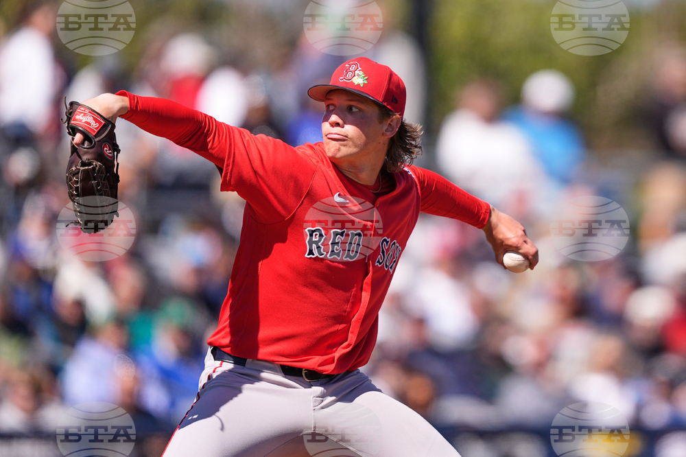 Red Sox Rays Spring Baseball
