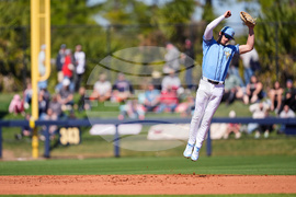 Red Sox Rays Spring Baseball