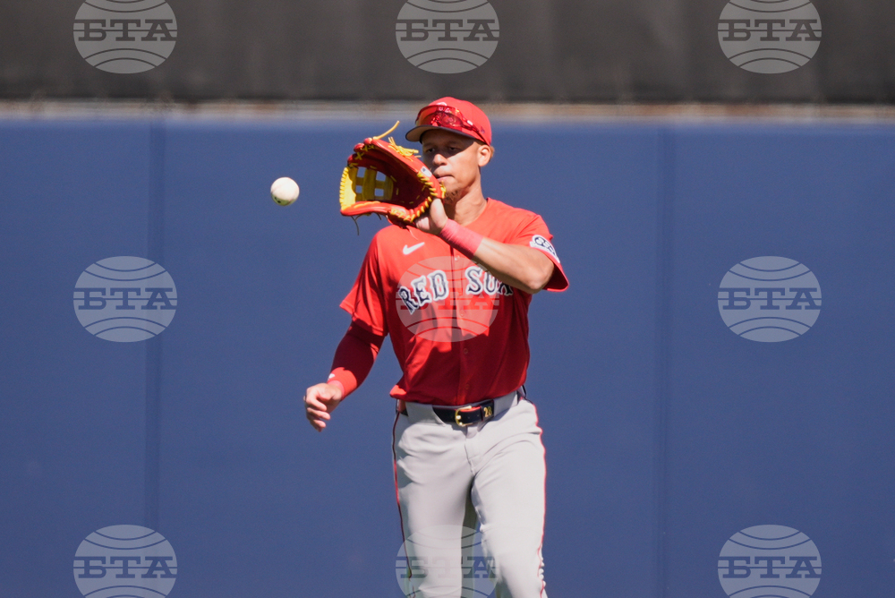 Red Sox Rays Spring Baseball