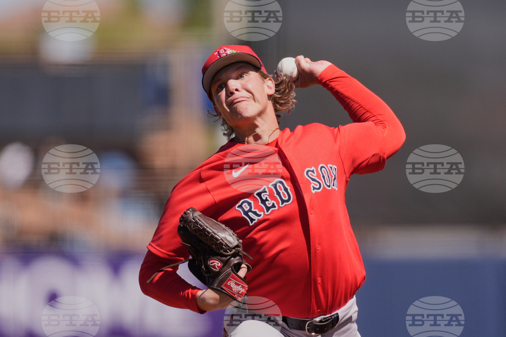 Red Sox Rays Spring Baseball