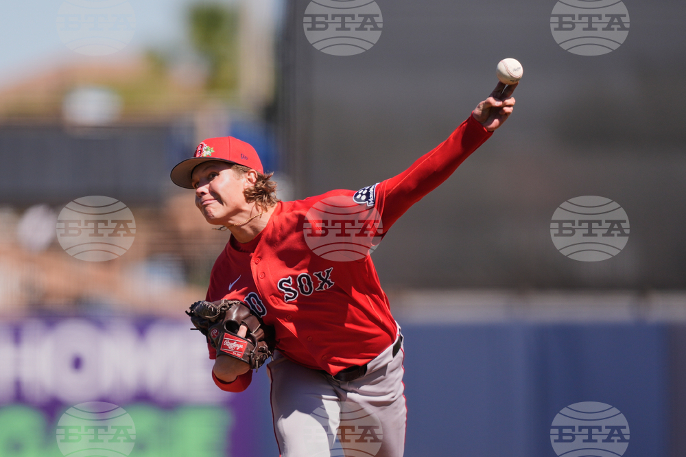 Red Sox Rays Spring Baseball