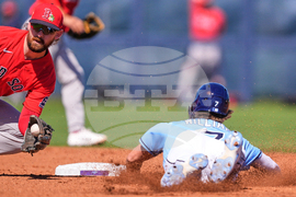 Red Sox Rays Spring Baseball