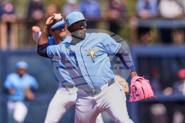 Red Sox Rays Spring Baseball