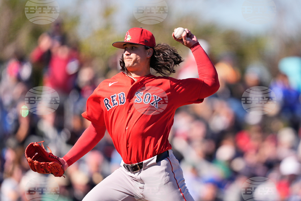 Red Sox Rays Spring Baseball
