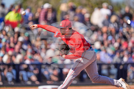 Red Sox Rays Spring Baseball