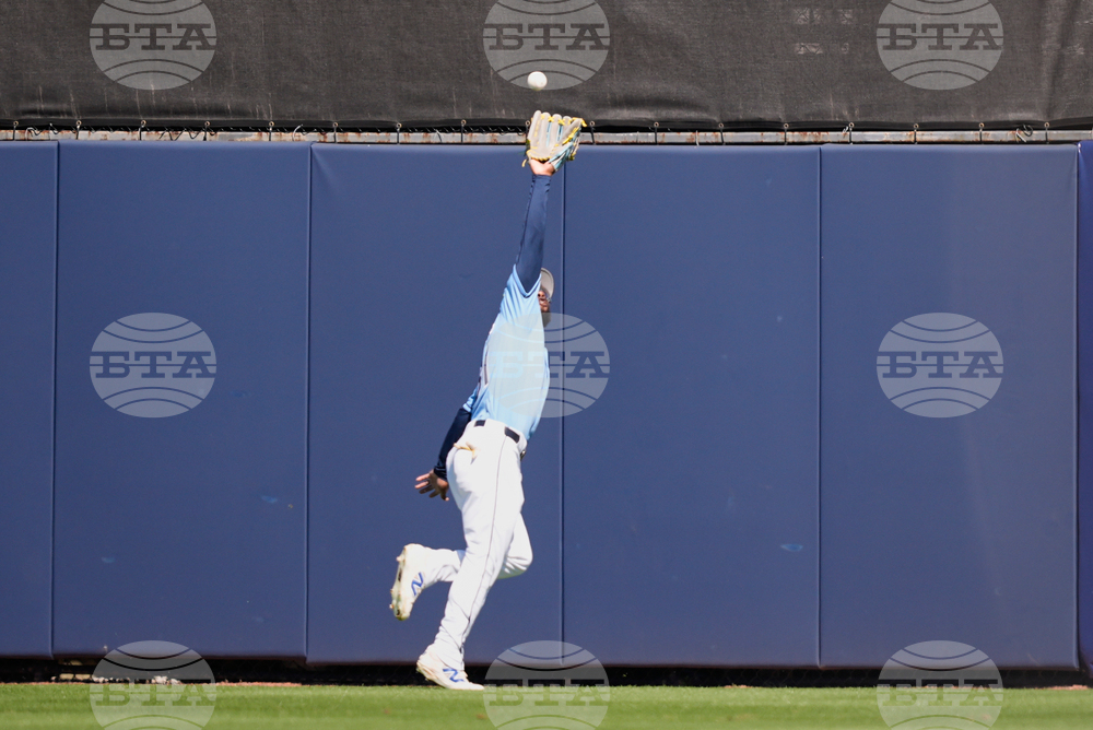Red Sox Rays Spring Baseball