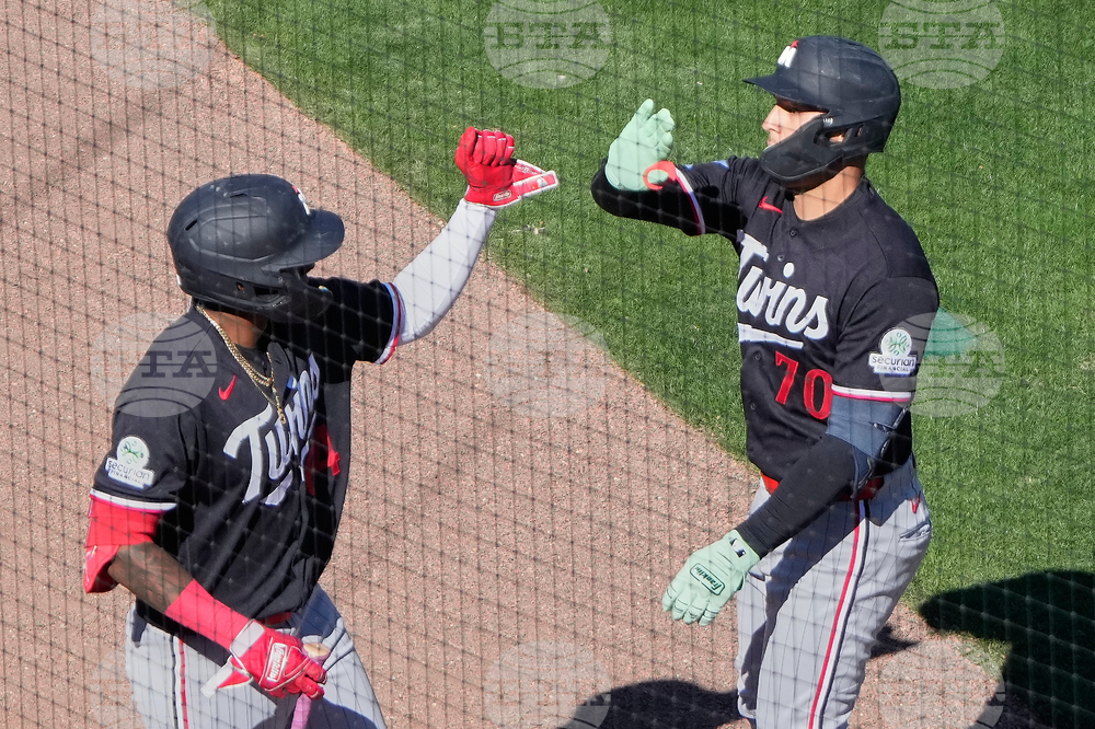 Twins Tigers Spring Baseball