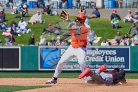 Twins Tigers Spring Baseball