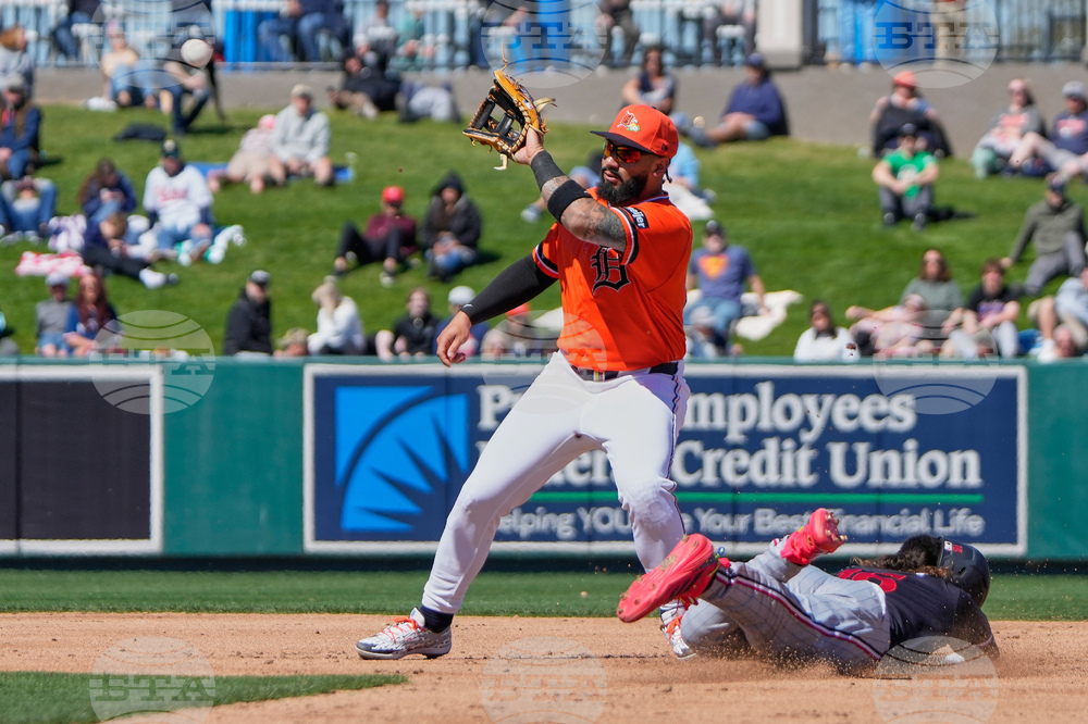 Twins Tigers Spring Baseball