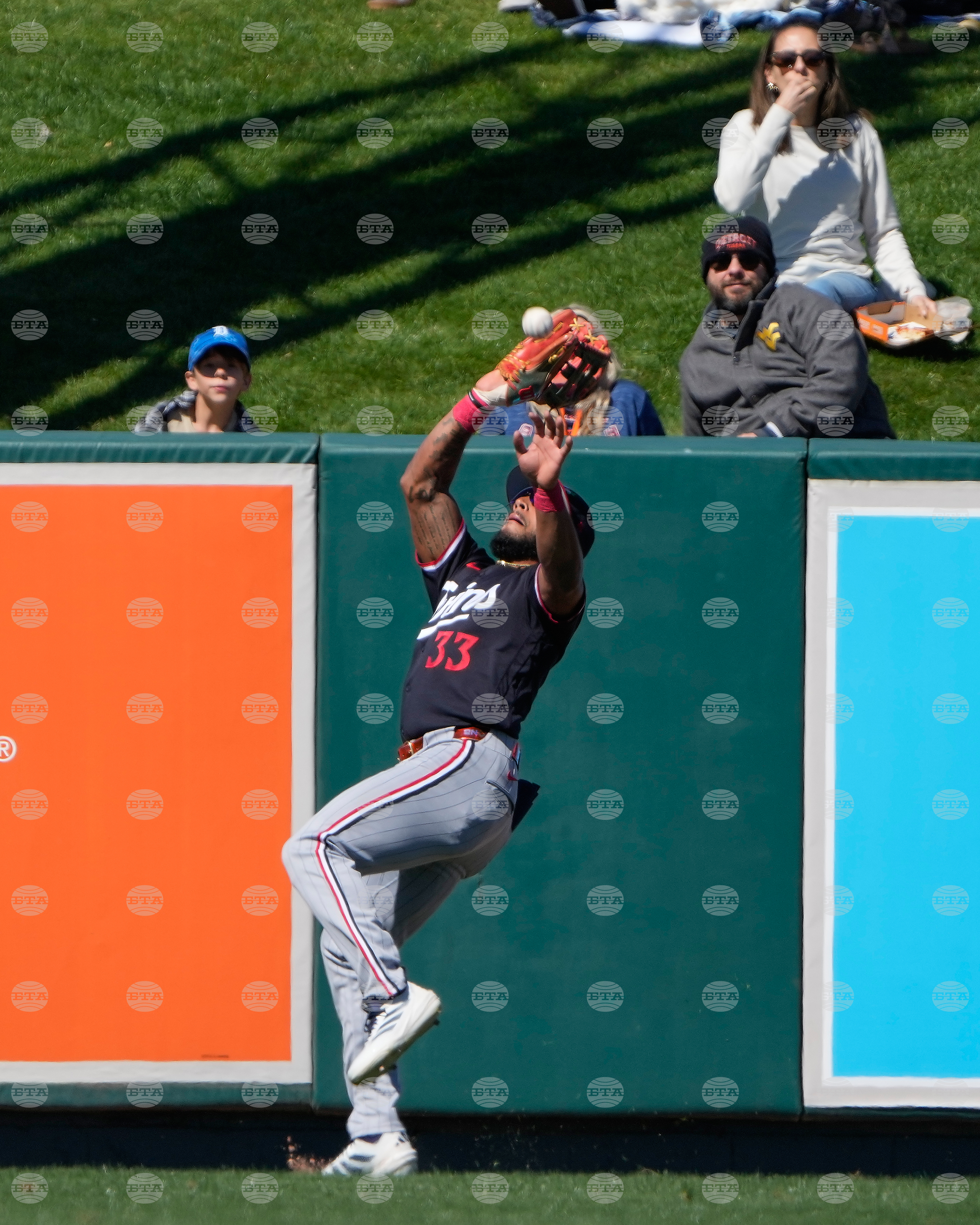 Twins Tigers Spring Baseball