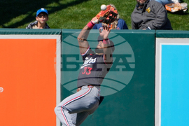 Twins Tigers Spring Baseball