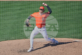 Twins Tigers Spring Baseball