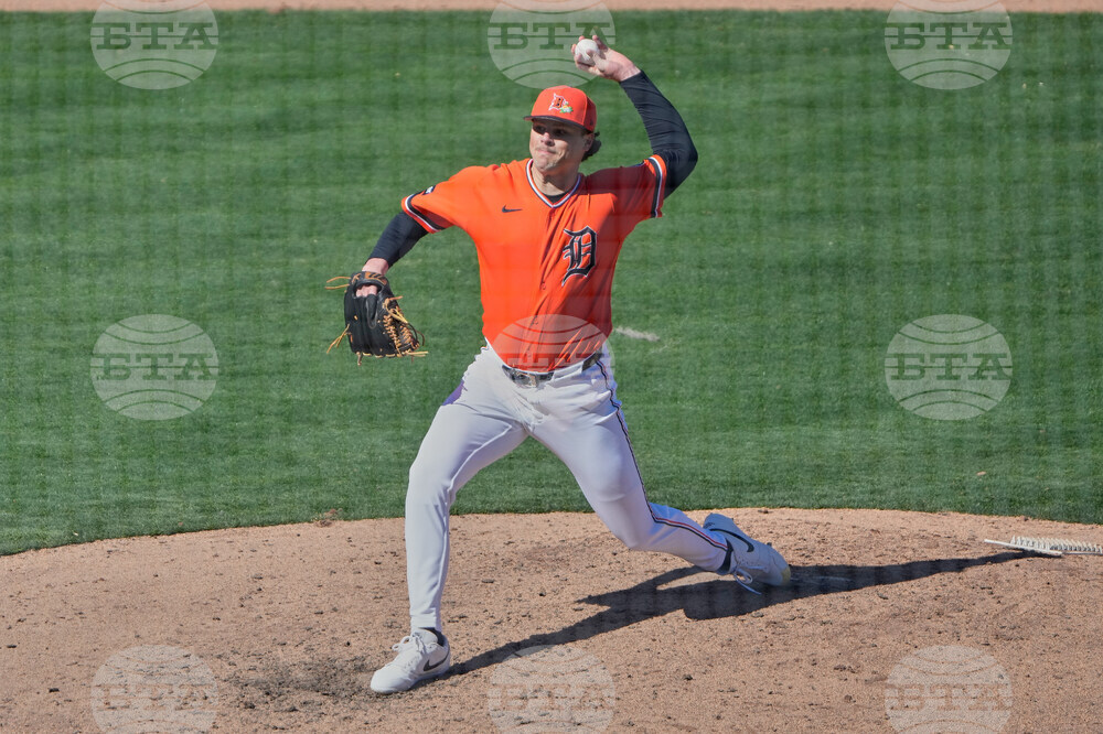 Twins Tigers Spring Baseball