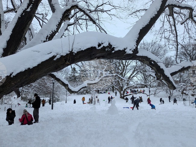 Winter Weather New York