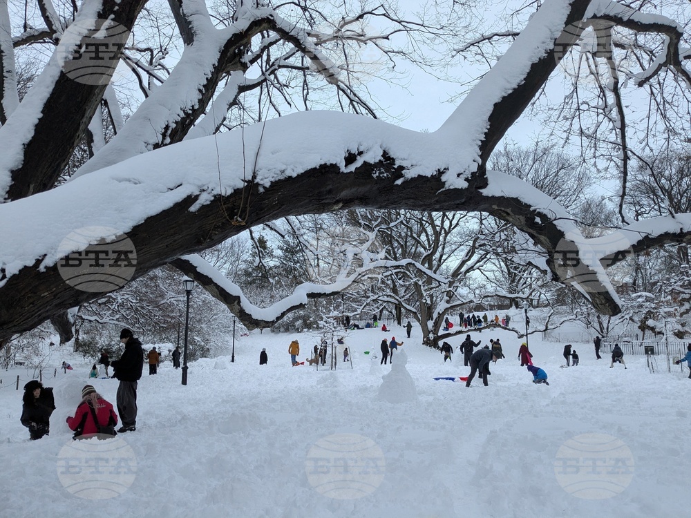 Winter Weather New York