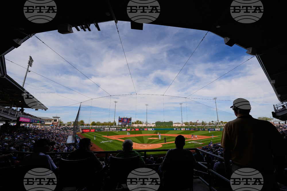 Cubs Royals Spring Baseball