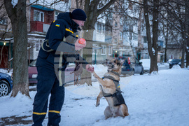 Ukraine Anniversary Portraits Photo Essay