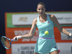 Miami Open Tennis